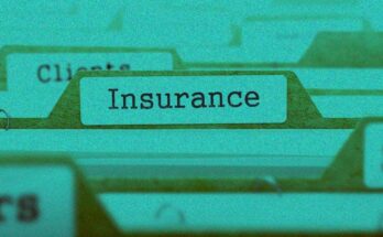 Navigating the Complex Landscape of Insurance